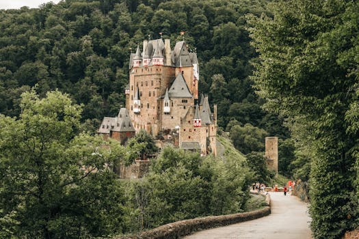 Trees around Road to Eltz Castle